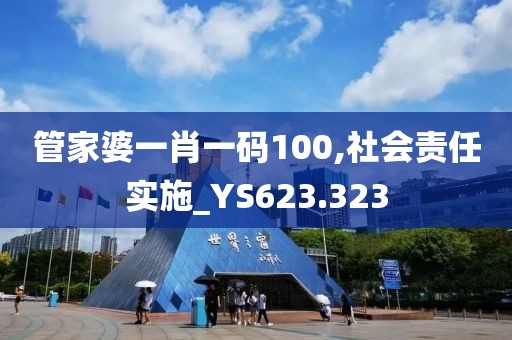 管家婆一肖一码100,社会责任实施_YS623.323