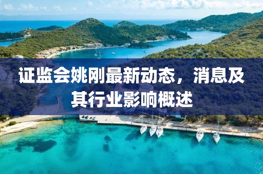 证监会姚刚最新动态，消息及其行业影响概述