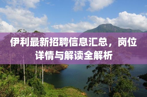 伊利最新招聘信息汇总，岗位详情与解读全解析