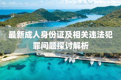 最新成人身份证及相关违法犯罪问题探讨解析