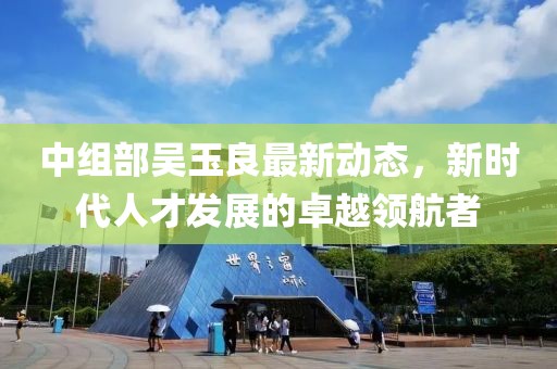 中组部吴玉良最新动态，新时代人才发展的卓越领航者