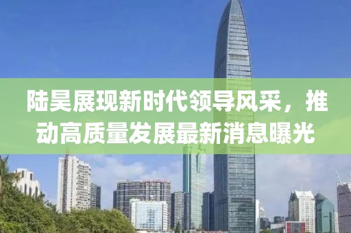 陆昊展现新时代领导风采，推动高质量发展最新消息曝光
