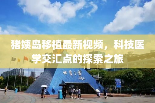 猪姨岛移植最新视频，科技医学交汇点的探索之旅