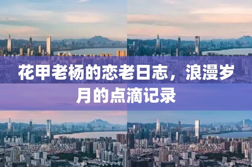 花甲老杨的恋老日志，浪漫岁月的点滴记录