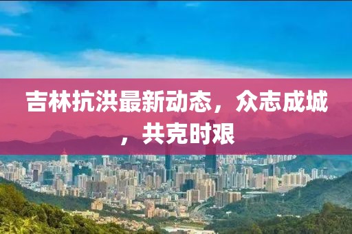 吉林抗洪最新动态，众志成城，共克时艰