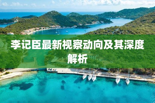 李记臣最新视察动向及其深度解析
