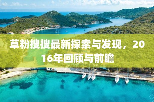 草粉搜搜最新探索与发现，2016年回顾与前瞻
