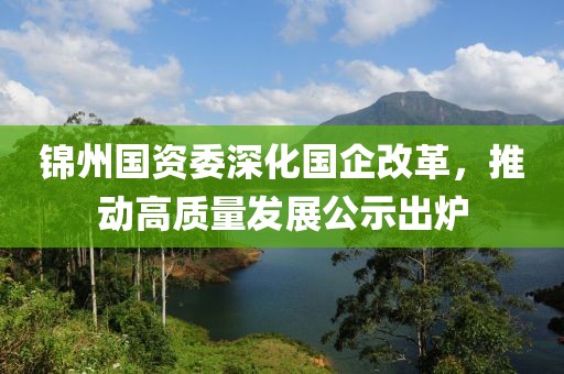 锦州国资委深化国企改革，推动高质量发展公示出炉