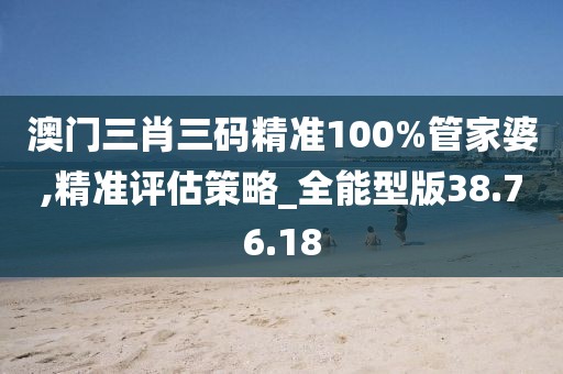 澳门三肖三码精准100%管家婆,精准评估策略_全能型版38.76.18