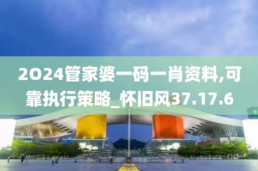 2O24管家婆一码一肖资料,可靠执行策略_怀旧风37.17.6