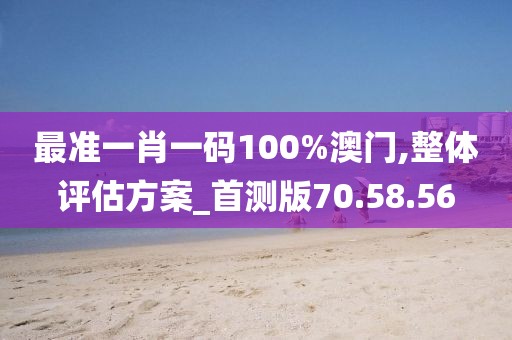 最准一肖一码100%澳门,整体评估方案_首测版70.58.56