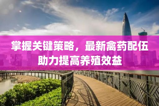 掌握关键策略，最新禽药配伍助力提高养殖效益