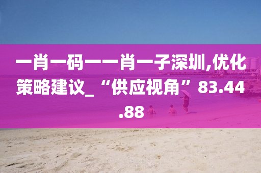 一肖一码一一肖一子深圳,优化策略建议_“供应视角”83.44.88