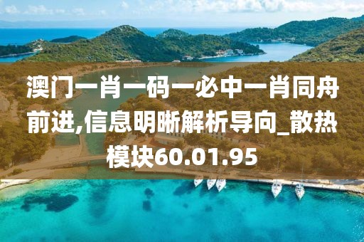 澳门一肖一码一必中一肖同舟前进,信息明晰解析导向_散热模块60.01.95