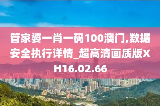 管家婆一肖一码100澳门,数据安全执行详情_超高清画质版XH16.02.66