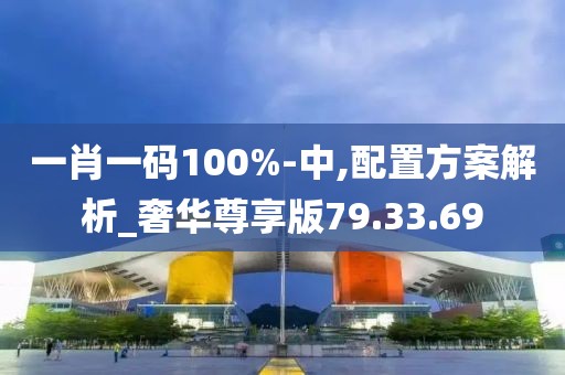 一肖一码100%-中,配置方案解析_奢华尊享版79.33.69