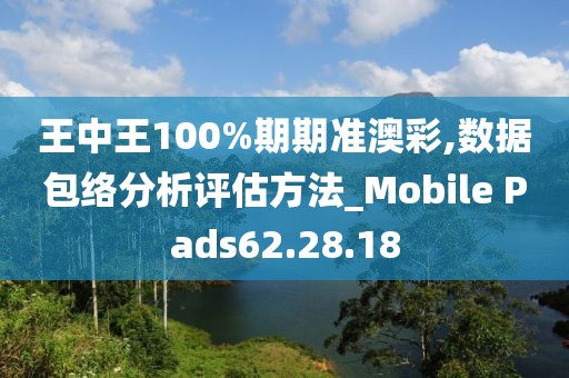王中王100%期期准澳彩,数据包络分析评估方法_Mobile Pads62.28.18