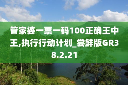 管家婆一票一码100正确王中王,执行行动计划_尝鲜版GR38.2.21
