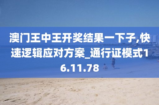澳门王中王开奖结果一下子,快速逻辑应对方案_通行证模式16.11.78