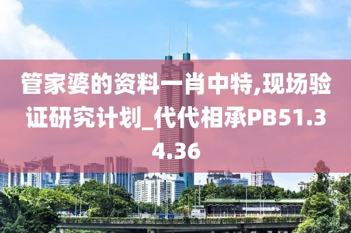 管家婆的资料一肖中特,现场验证研究计划_代代相承PB51.34.36