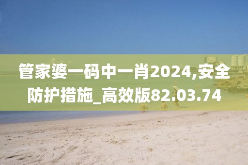 管家婆一码中一肖2024,安全防护措施_高效版82.03.74