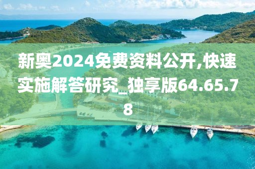 新奥2024免费资料公开,快速实施解答研究_独享版64.65.78