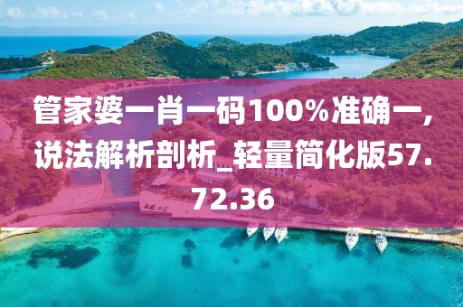 管家婆一肖一码100%准确一,说法解析剖析_轻量简化版57.72.36