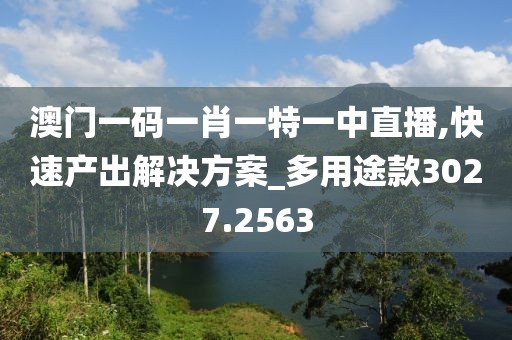 澳门一码一肖一特一中直播,快速产出解决方案_多用途款3027.2563