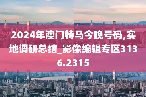 2024年澳门特马今晚号码,实地调研总结_影像编辑专区3136.2315