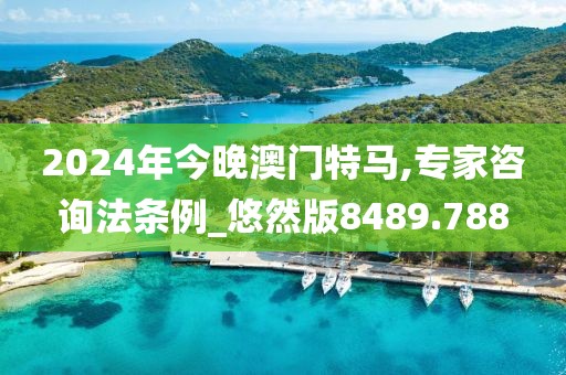 2024年今晚澳门特马,专家咨询法条例_悠然版8489.788