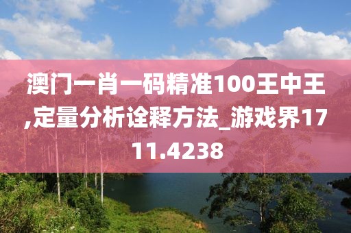 澳门一肖一码精准100王中王,定量分析诠释方法_游戏界1711.4238