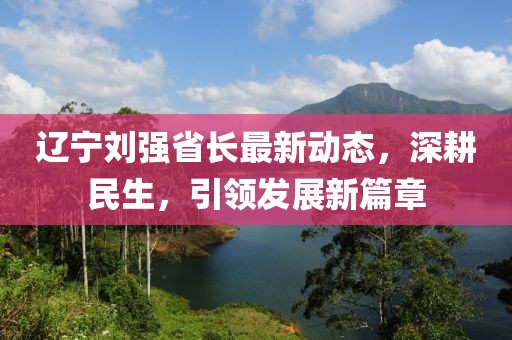 辽宁刘强省长最新动态，深耕民生，引领发展新篇章