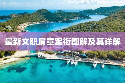 最新文职肩章军衔图解及其详解