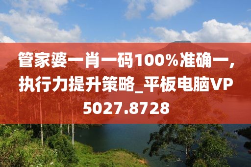 管家婆一肖一码100%准确一,执行力提升策略_平板电脑VP5027.8728