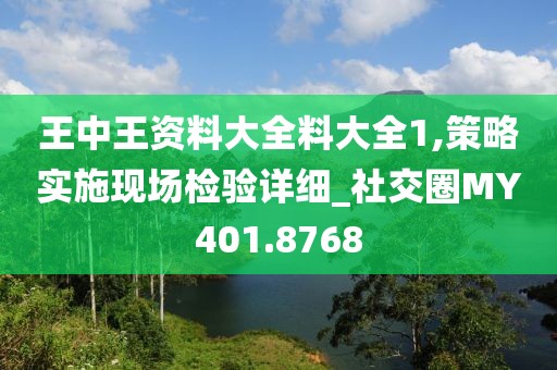 王中王资料大全料大全1,策略实施现场检验详细_社交圈MY401.8768