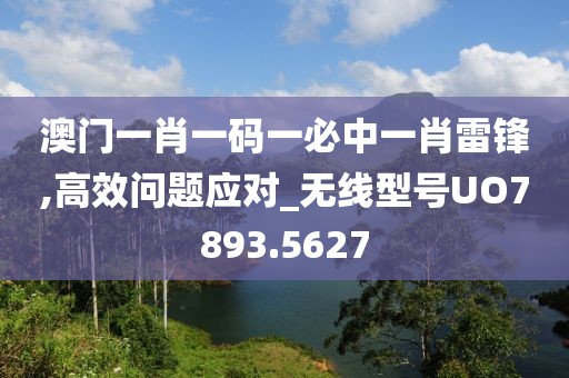 澳门一肖一码一必中一肖雷锋,高效问题应对_无线型号UO7893.5627