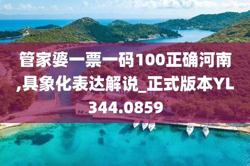 管家婆一票一码100正确河南,具象化表达解说_正式版本YL344.0859