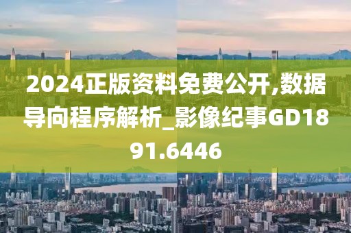 2024正版资料免费公开,数据导向程序解析_影像纪事GD1891.6446