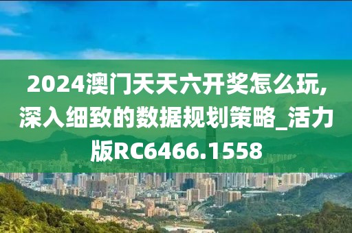 2024澳门天天六开奖怎么玩,深入细致的数据规划策略_活力版RC6466.1558