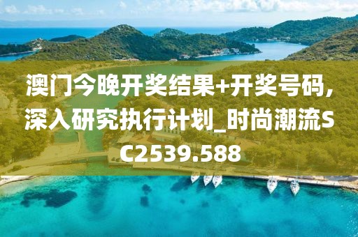 澳门今晚开奖结果+开奖号码,深入研究执行计划_时尚潮流SC2539.588