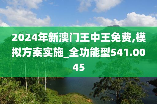 2024年新澳门王中王免费,模拟方案实施_全功能型541.0045