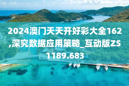 2024澳门天天开好彩大全162,深究数据应用策略_互动版ZS1189.683