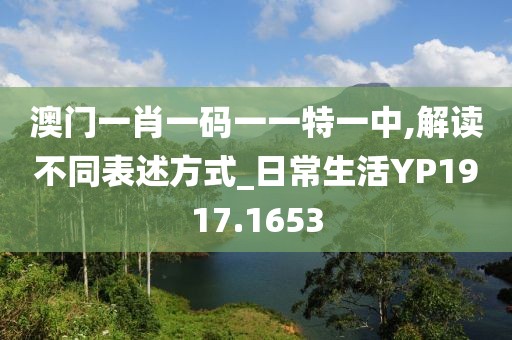 澳门一肖一码一一特一中,解读不同表述方式_日常生活YP1917.1653