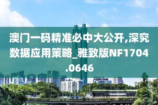 澳门一码精准必中大公开,深究数据应用策略_雅致版NF1704.0646