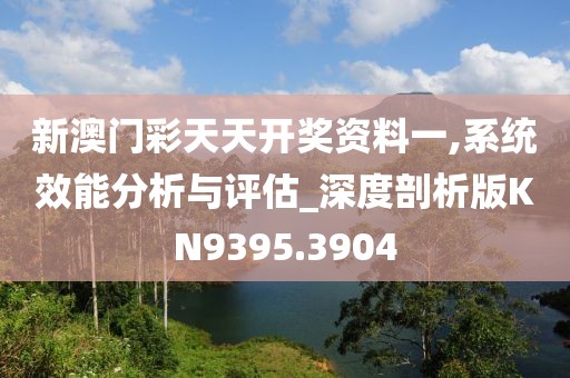 新澳门彩天天开奖资料一,系统效能分析与评估_深度剖析版KN9395.3904