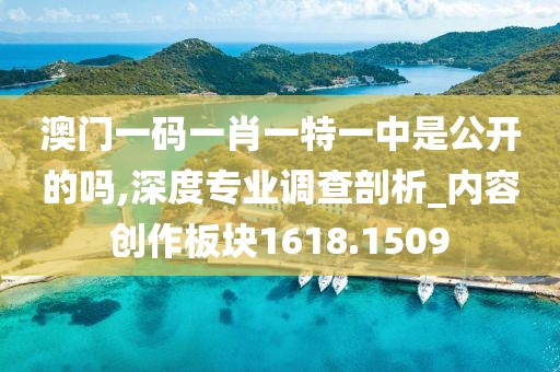 澳门一码一肖一特一中是公开的吗,深度专业调查剖析_内容创作板块1618.1509