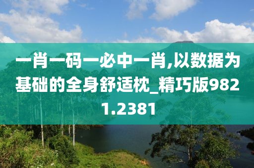 一肖一码一必中一肖,以数据为基础的全身舒适枕_精巧版9821.2381