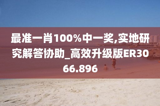 最准一肖100%中一奖,实地研究解答协助_高效升级版ER3066.896