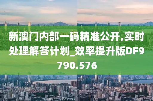 新澳门内部一码精准公开,实时处理解答计划_效率提升版DF9790.576