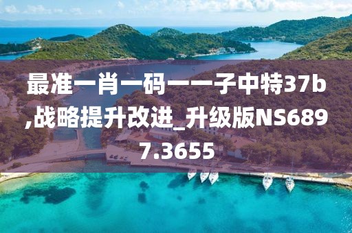 最准一肖一码一一子中特37b,战略提升改进_升级版NS6897.3655